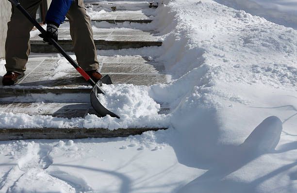 Sidewalk & entrance clearing